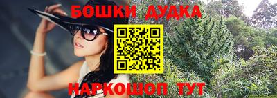 гашик Заводоуковск