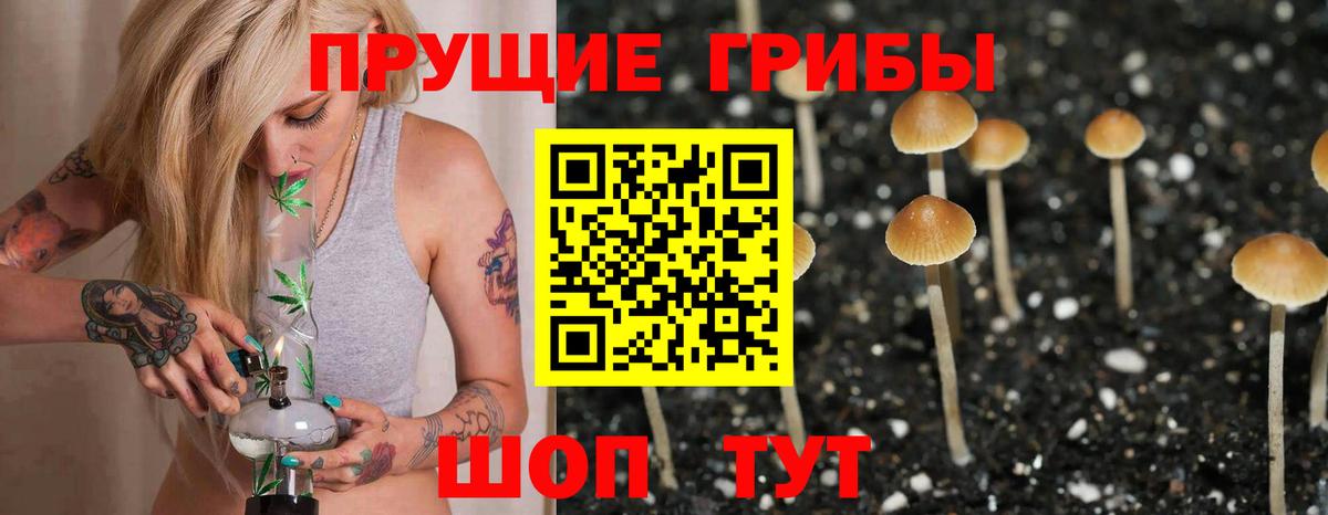 Псилоцибиновые грибы Magic Shrooms Лянтор
